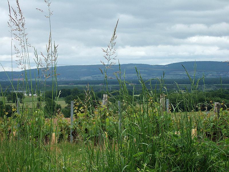 2010-05- (73).JPG